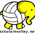 GreenVolley